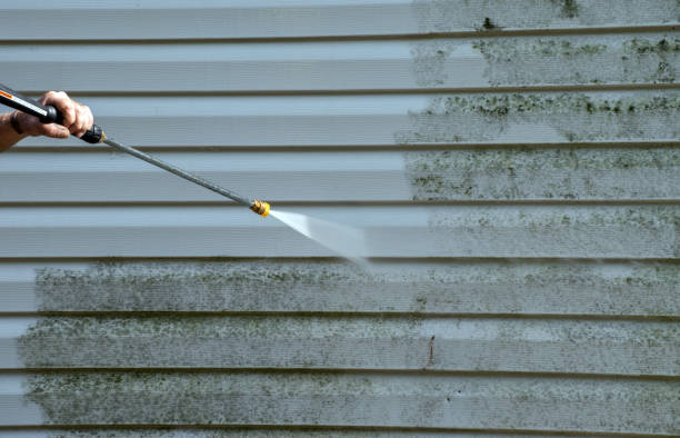Best Commercial Mold Removal  in West Point, MS