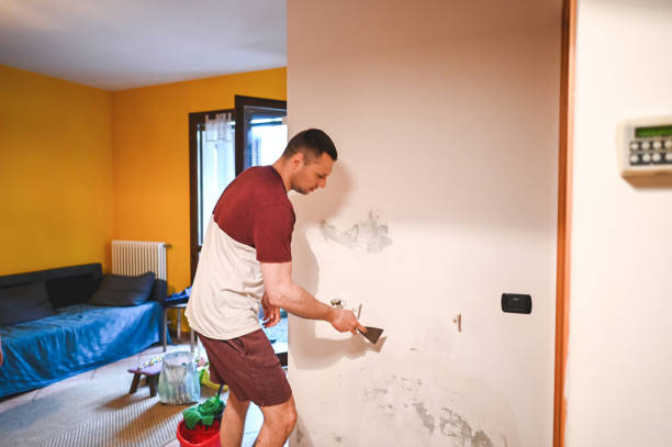 Best Black Mold Removal  in West Point, MS